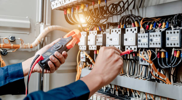 Best Electric Panel Repair  in Staples, MN