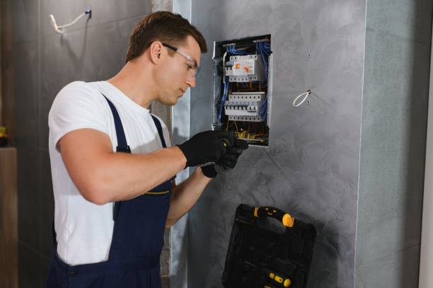 Best Ceiling Fan Installation Electrician  in Staples, MN
